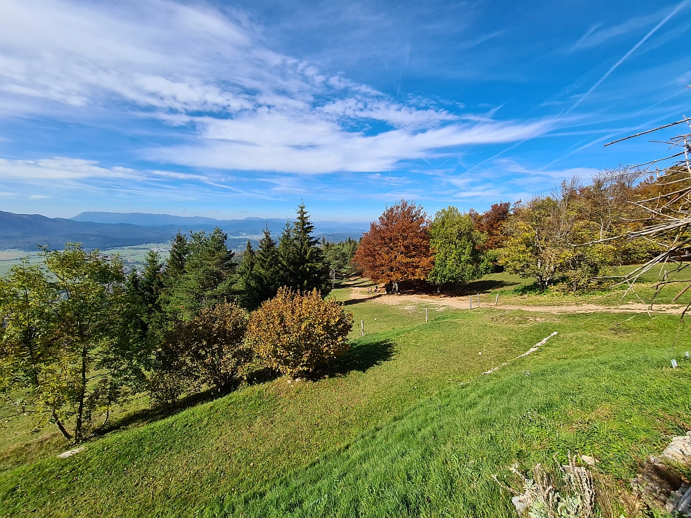 Slika je vidna v Google Chromu.
