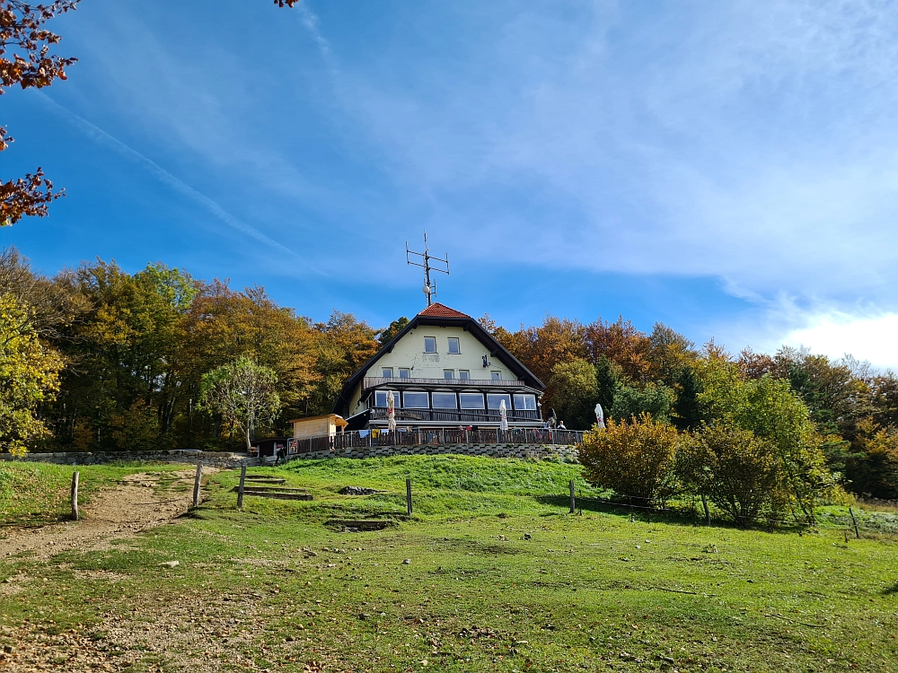 Slika je vidna v Google Chromu.