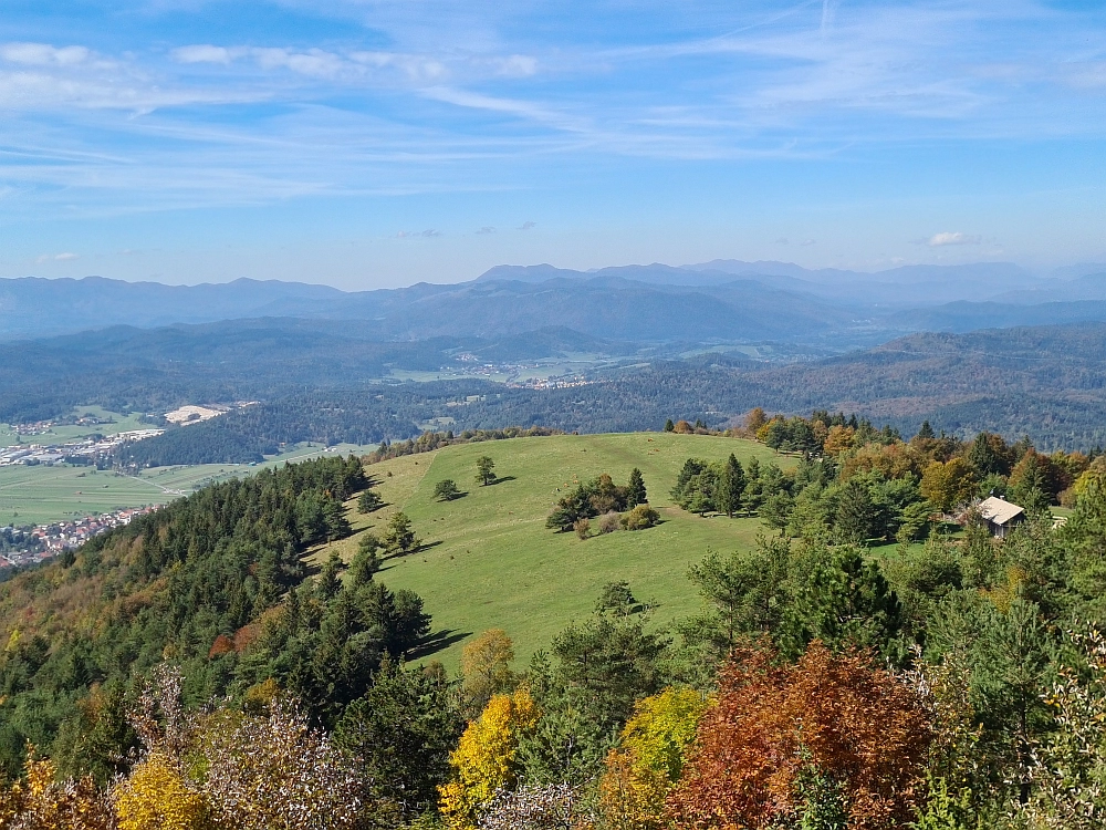 Slika je vidna v Google Chromu.