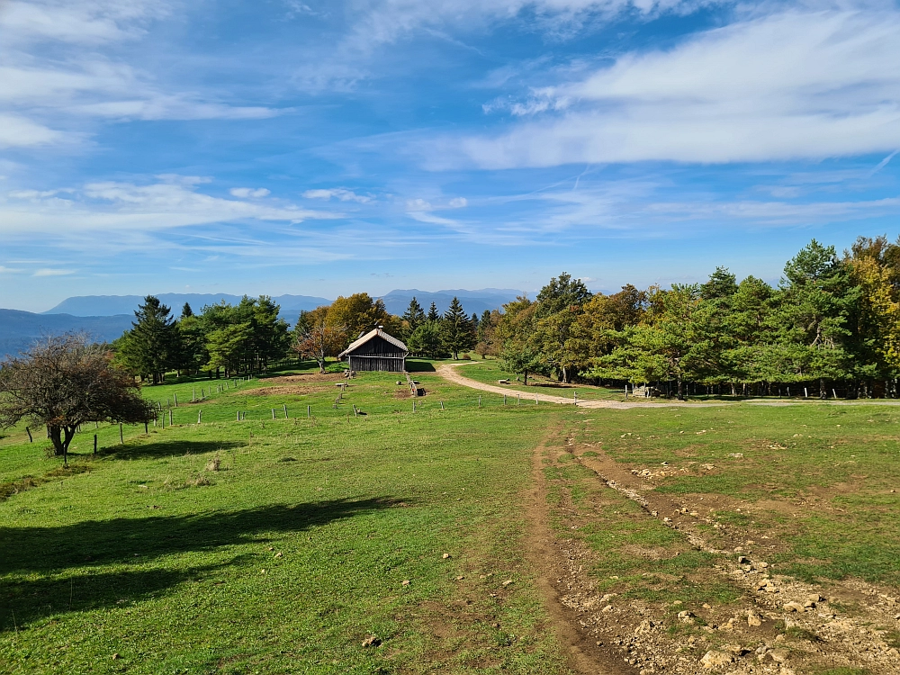Slika je vidna v Google Chromu.