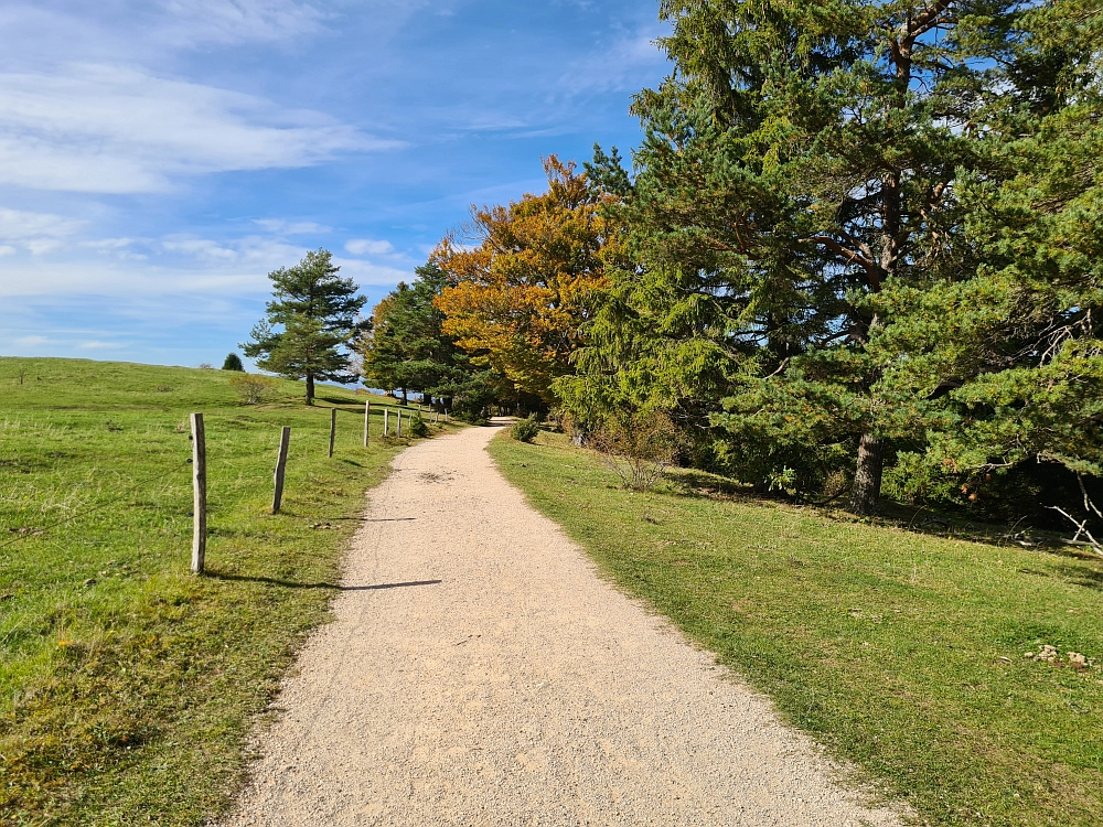 Slika je vidna v Google Chromu.