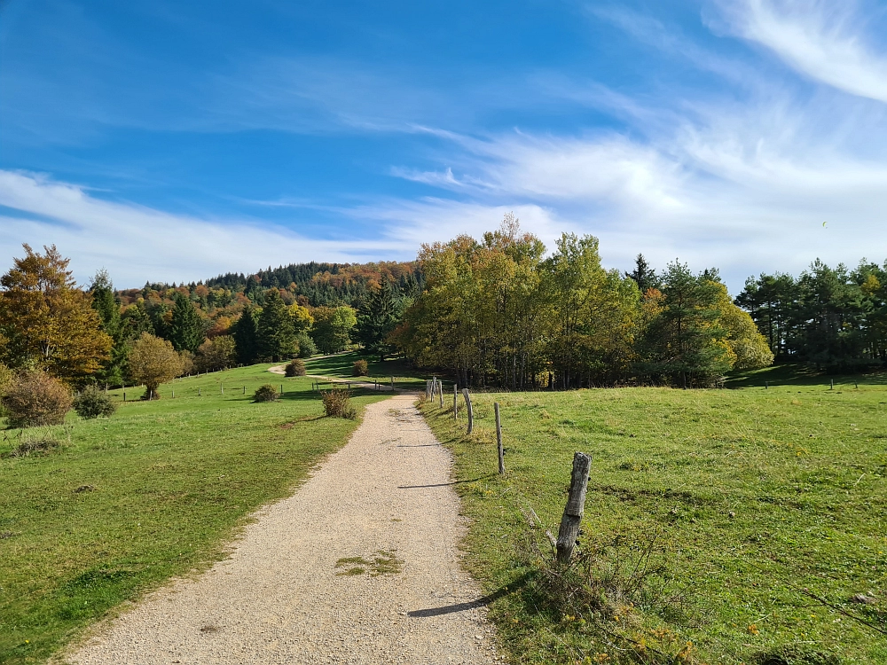 Slika je vidna v Google Chromu.