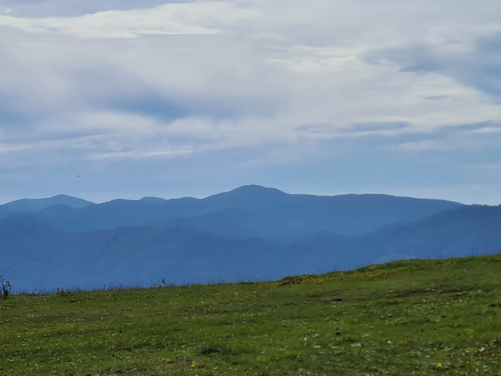 Slika je vidna v Google Chromu.
