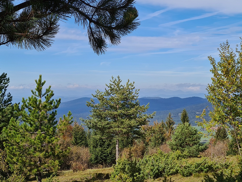 Slika je vidna v Google Chromu.