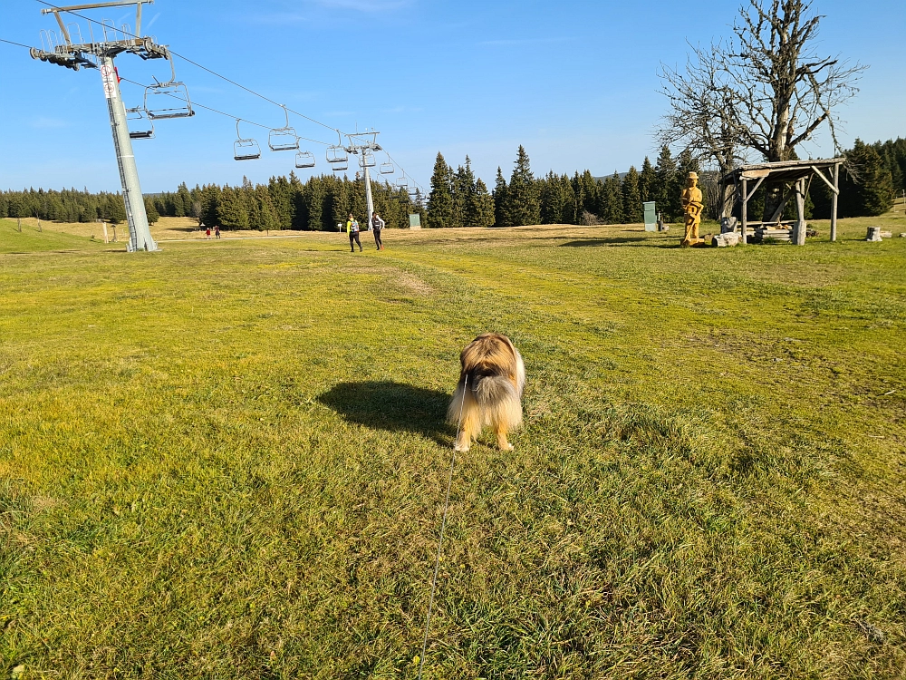 Slika je vidna v Google Chromu.