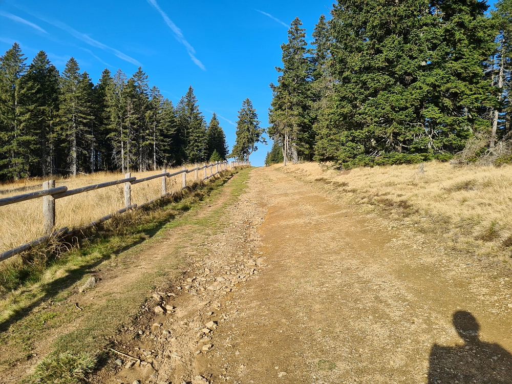 Slika je vidna v Google Chromu.