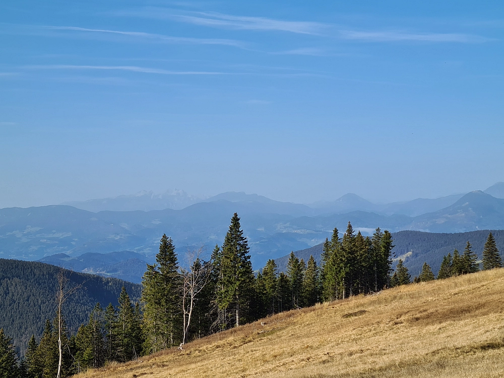 Slika je vidna v Google Chromu.