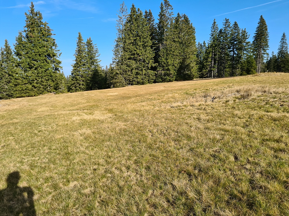 Slika je vidna v Google Chromu.