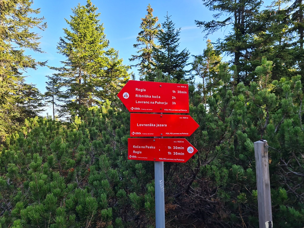 Slika je vidna v Google Chromu.