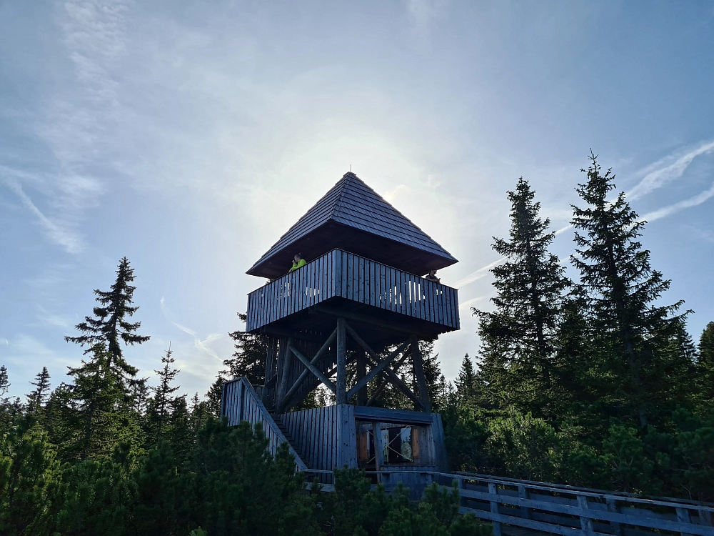 Slika je vidna v Google Chromu.