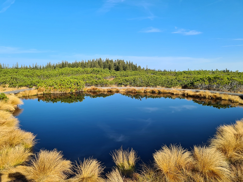 Slika je vidna v Google Chromu.