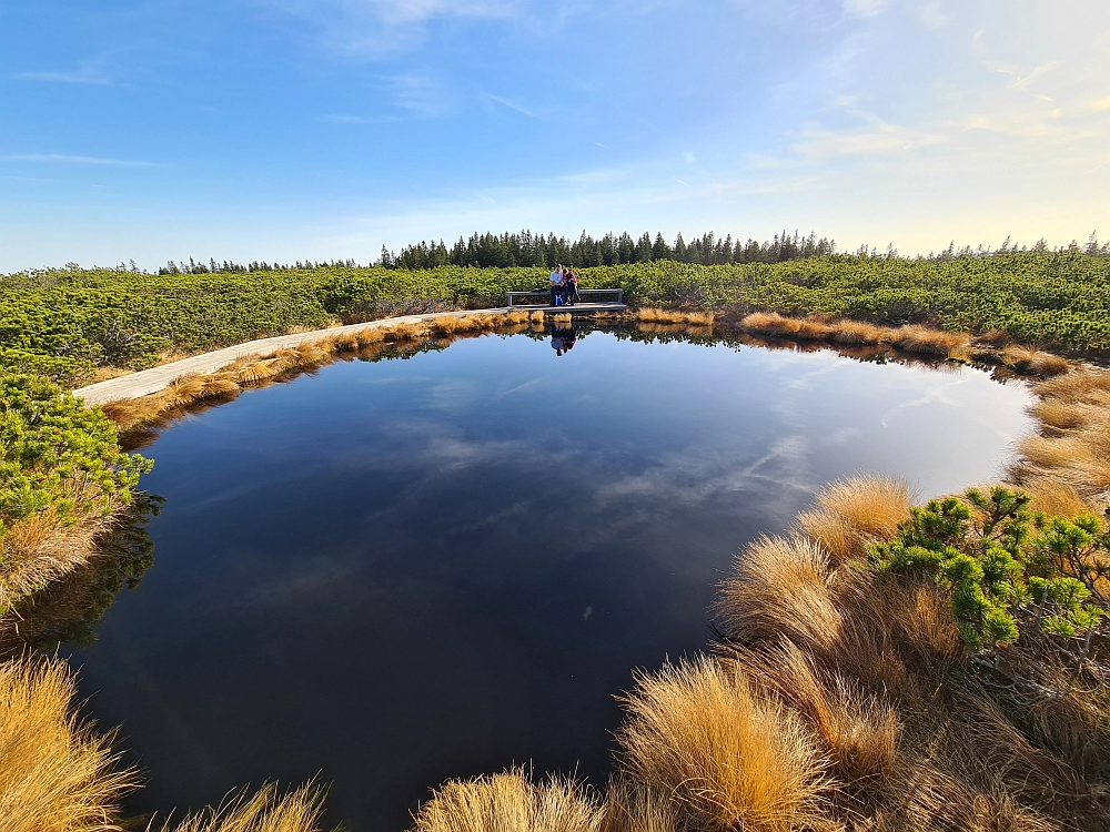 Slika je vidna v Google Chromu.