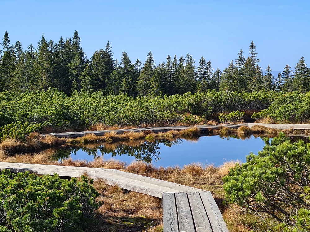 Slika je vidna v Google Chromu.