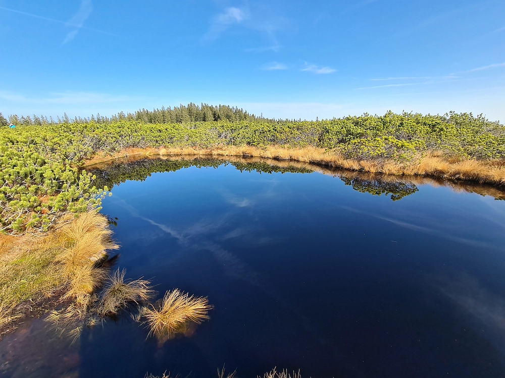 Slika je vidna v Google Chromu.