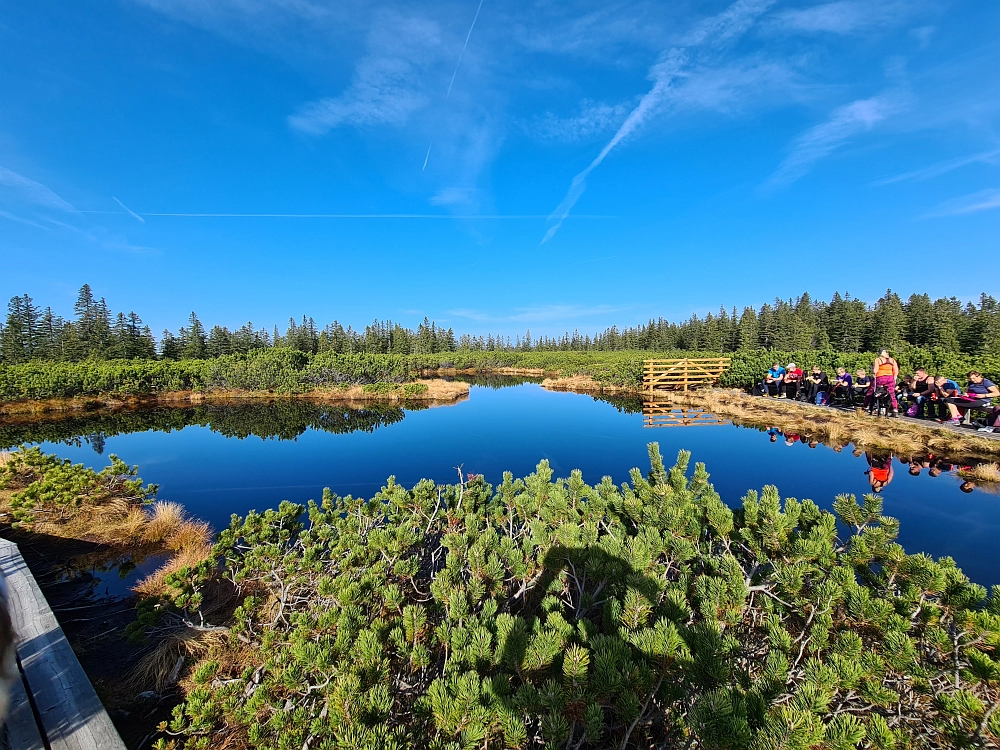 Slika je vidna v Google Chromu.