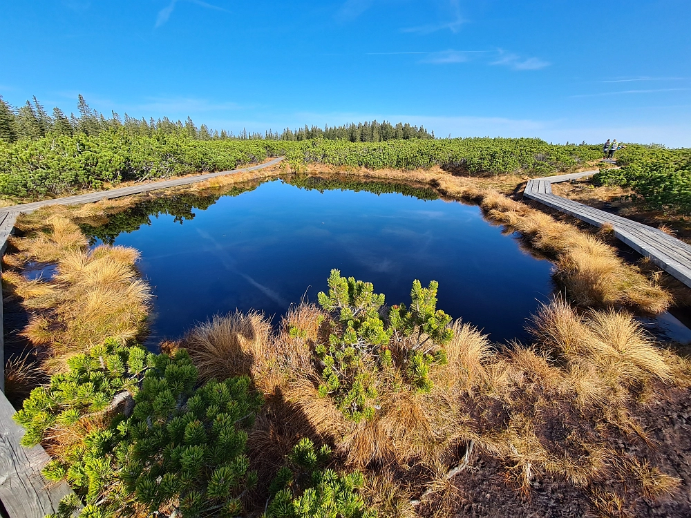 Slika je vidna v Google Chromu.