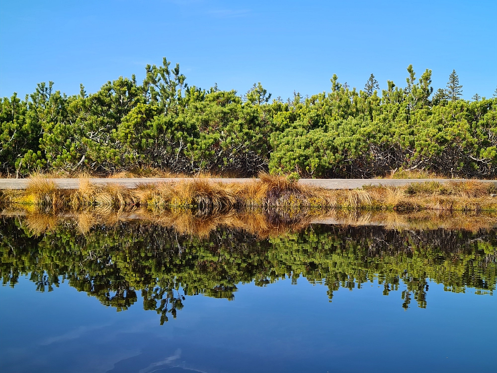 Slika je vidna v Google Chromu.