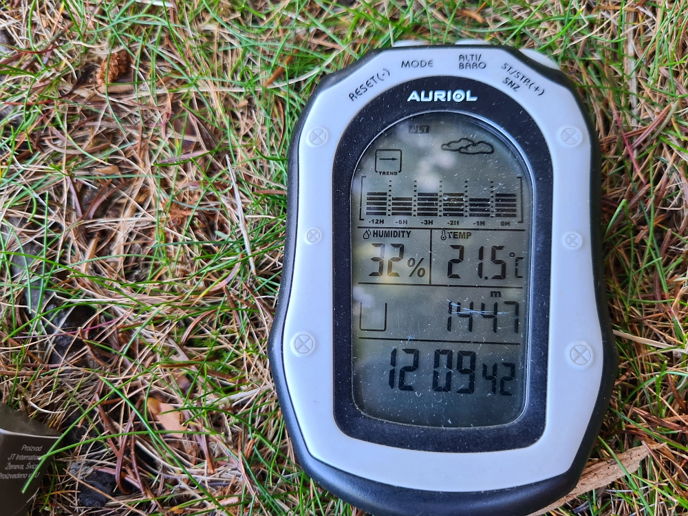 Slika je vidna v Google Chromu.