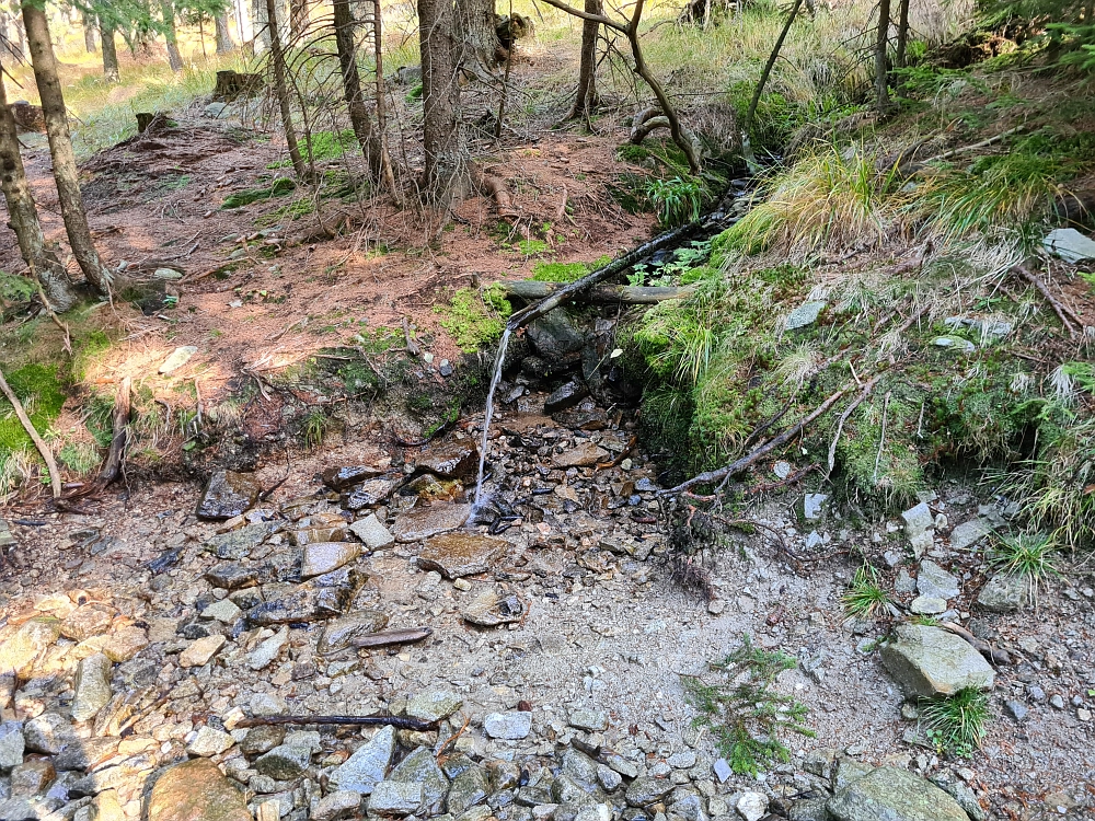 Slika je vidna v Google Chromu.