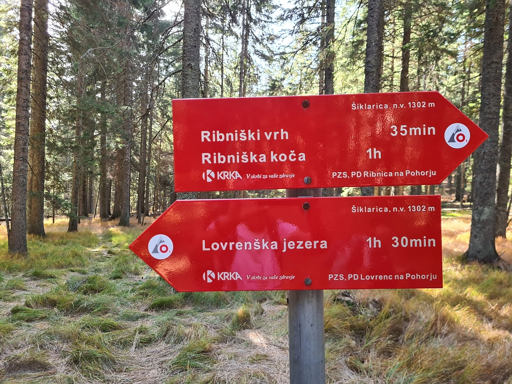 Slika je vidna v Google Chromu.