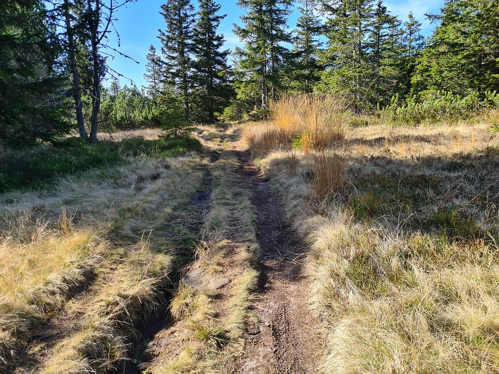 Slika je vidna v Google Chromu.