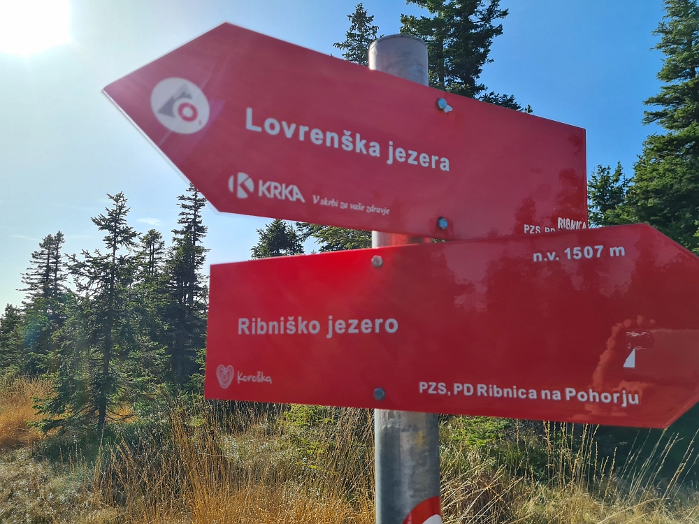 Slika je vidna v Google Chromu.