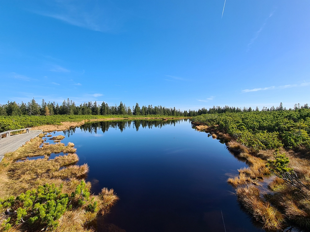 Slika je vidna v Google Chromu.