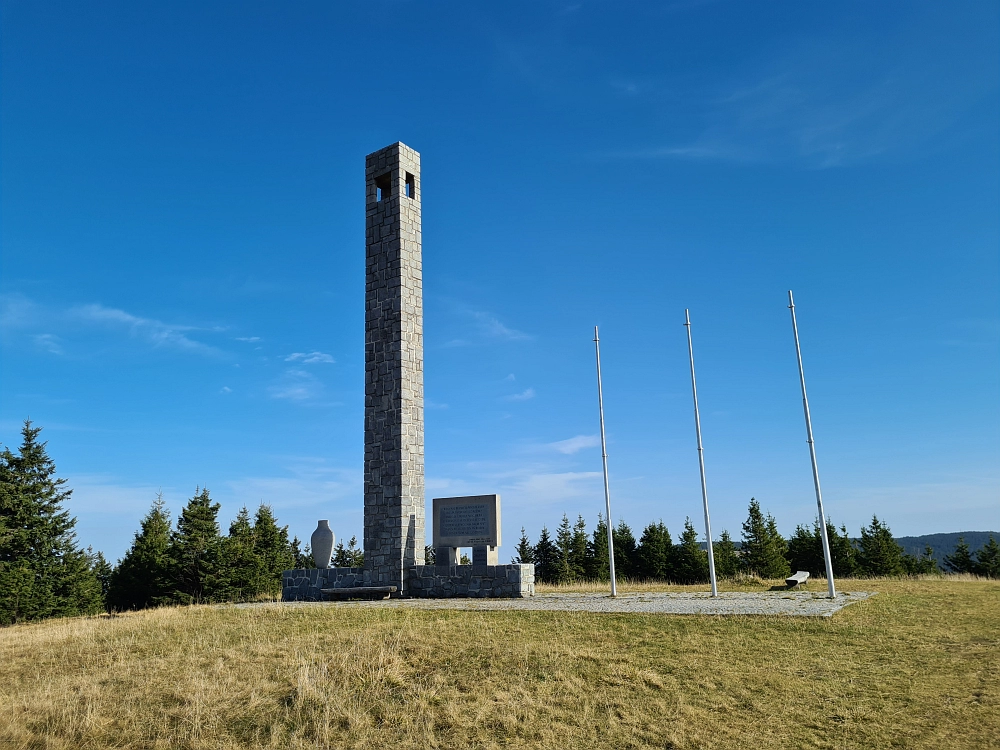 Slika je vidna v Google Chromu.