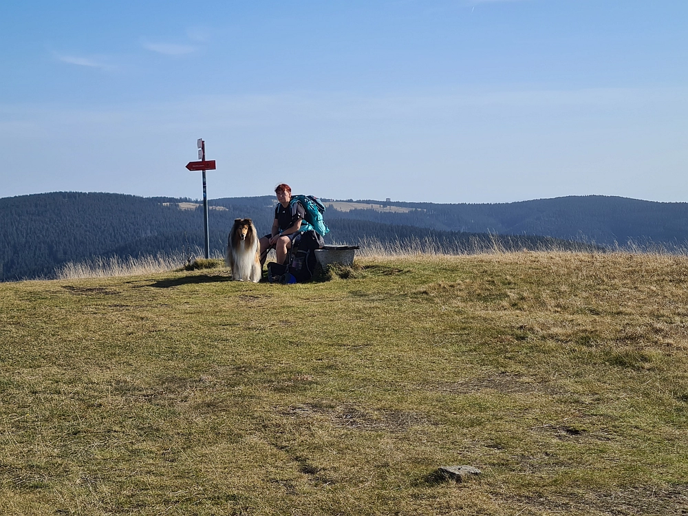 Slika je vidna v Google Chromu.
