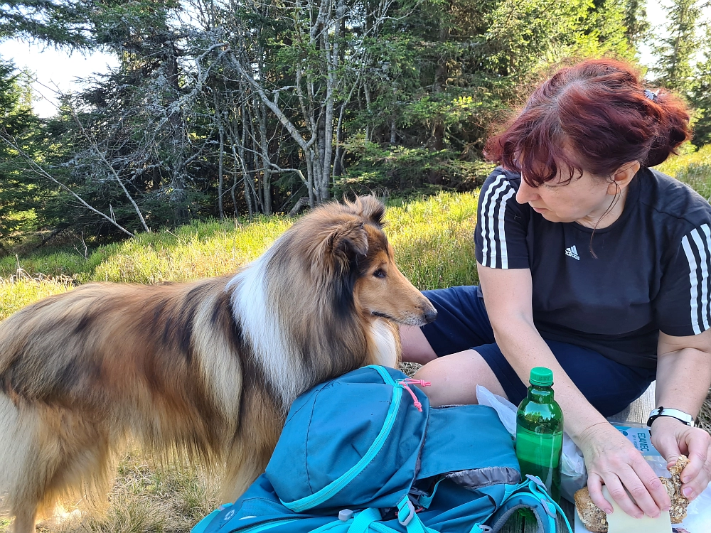 Slika je vidna v Google Chromu.