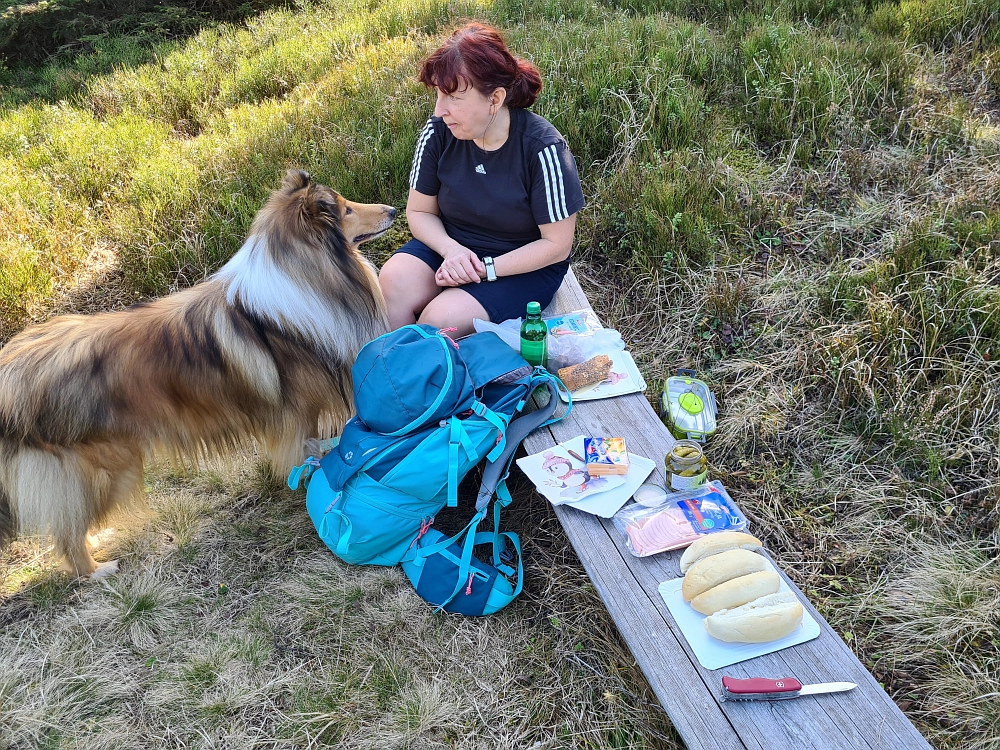 Slika je vidna v Google Chromu.