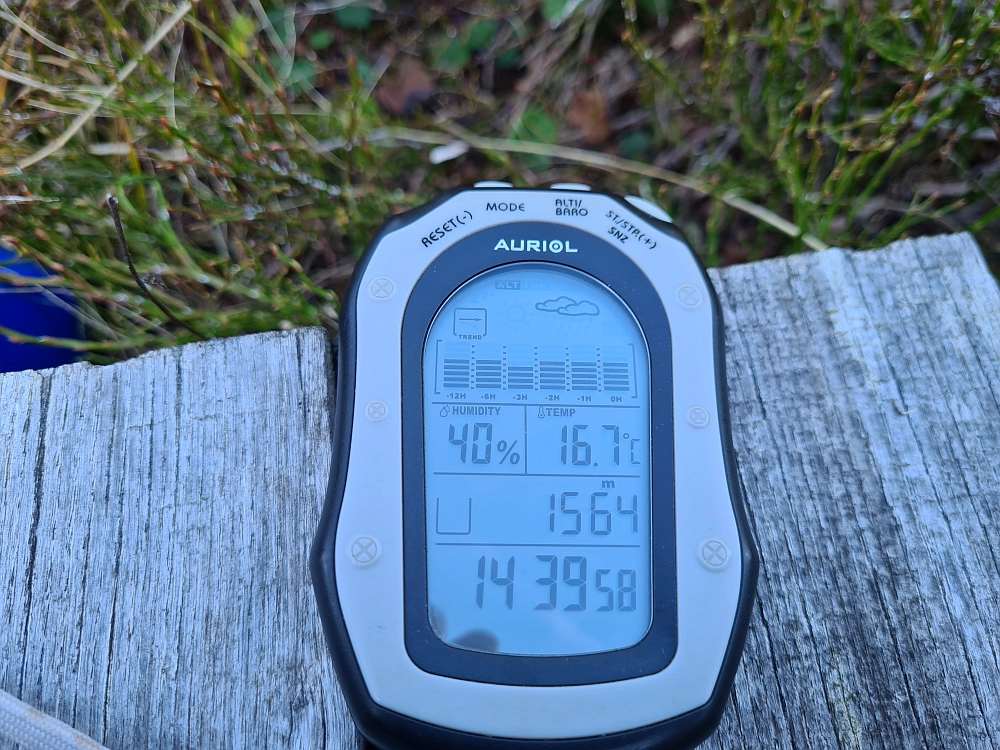 Slika je vidna v Google Chromu.