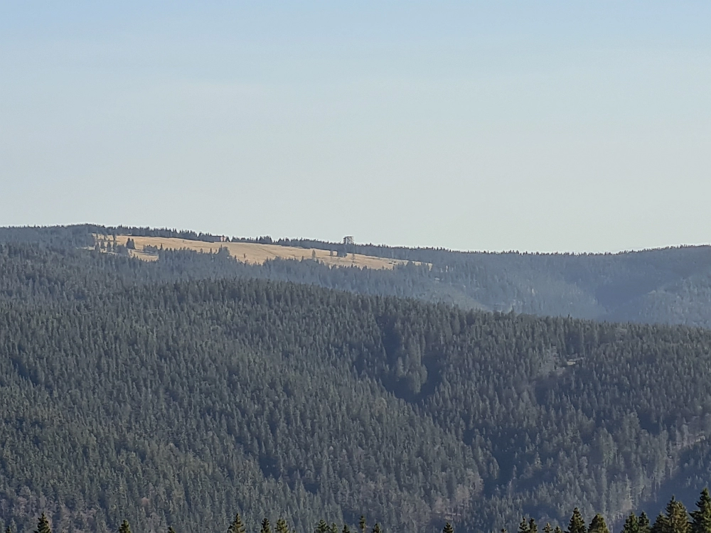 Slika je vidna v Google Chromu.