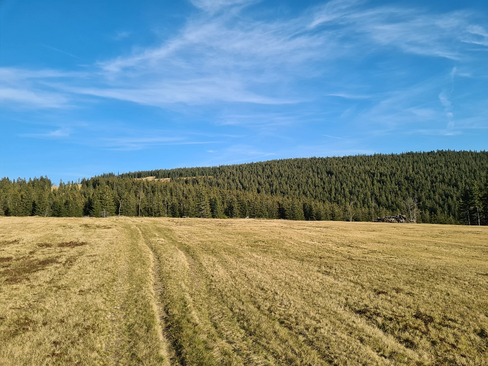Slika je vidna v Google Chromu.
