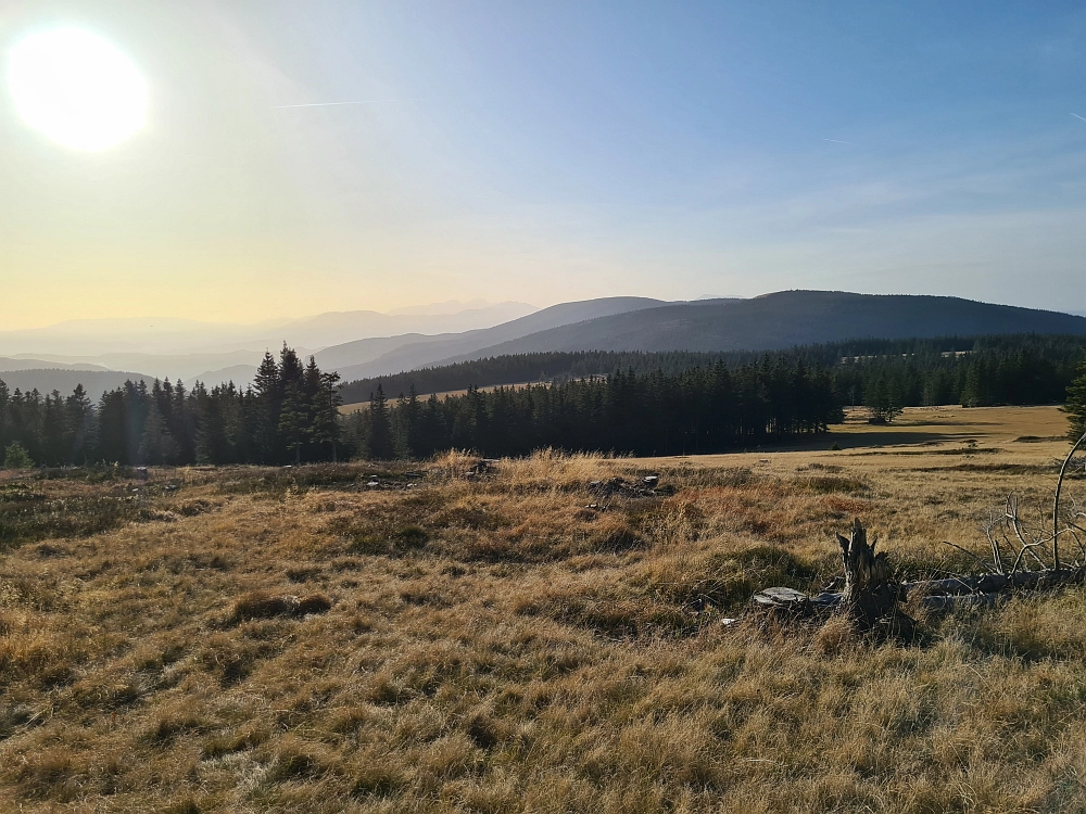 Slika je vidna v Google Chromu.