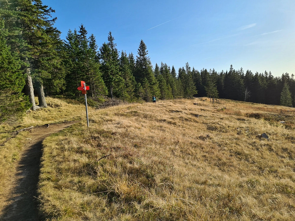 Slika je vidna v Google Chromu.