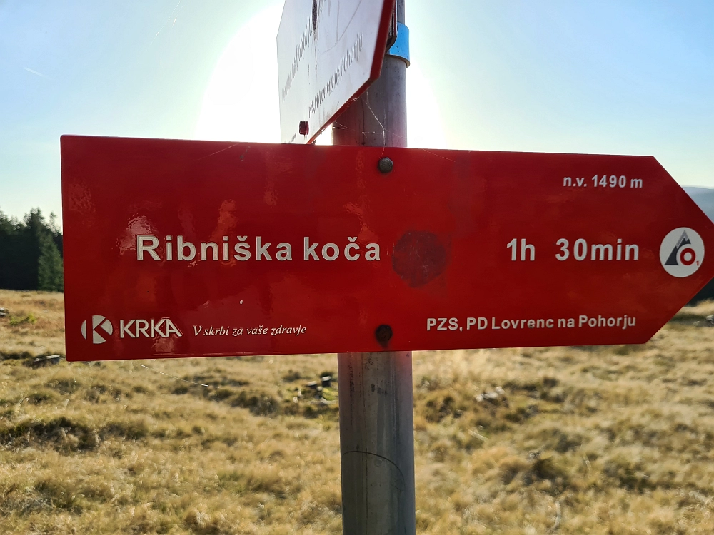 Slika je vidna v Google Chromu.