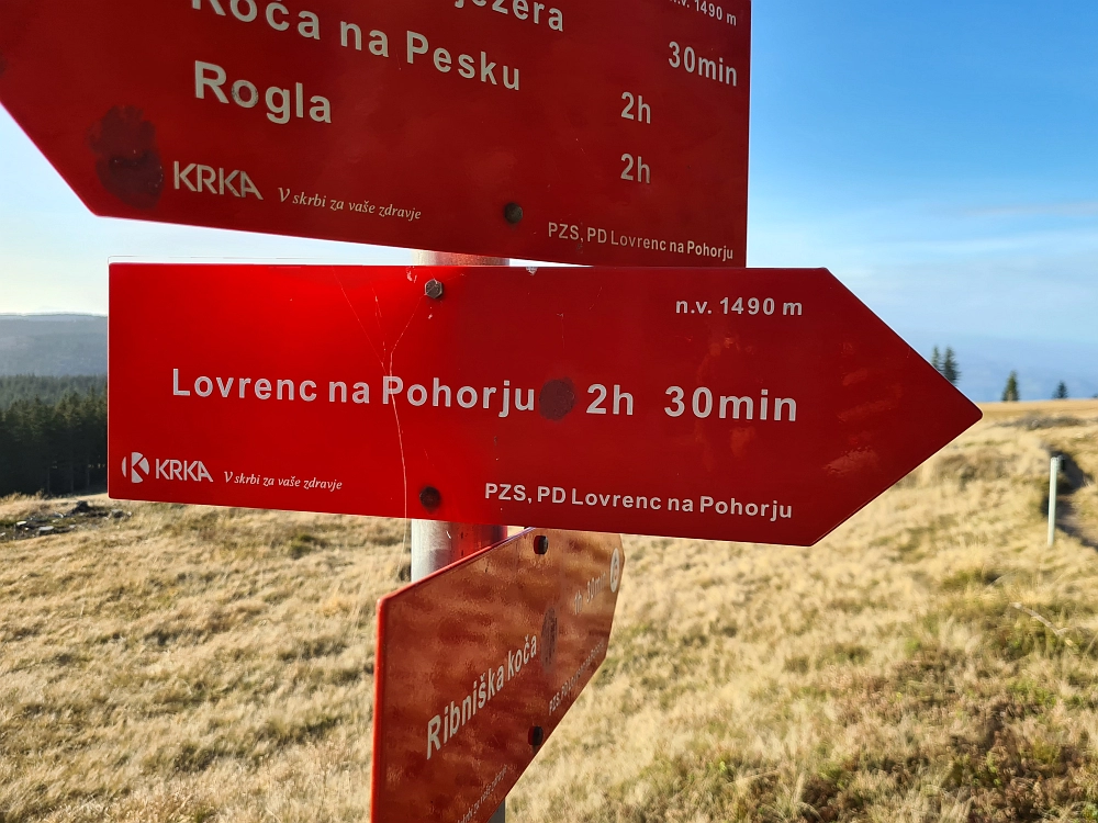 Slika je vidna v Google Chromu.