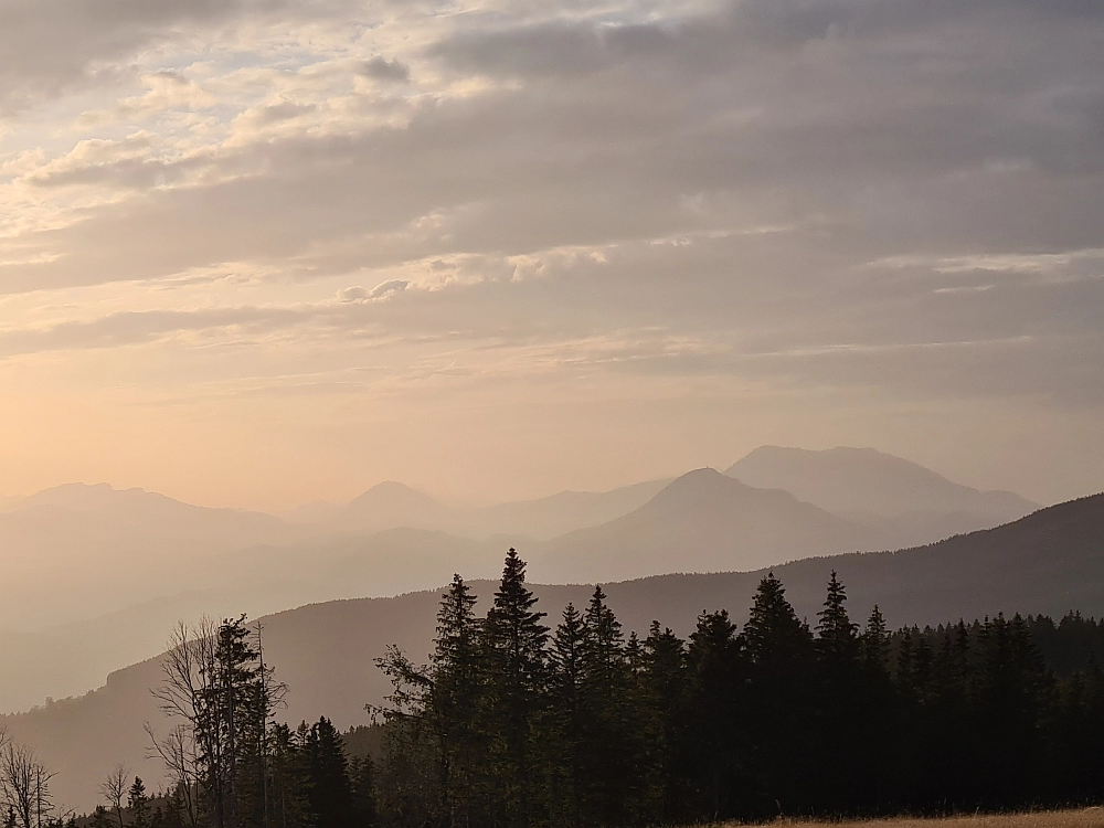 Slika je vidna v Google Chromu.