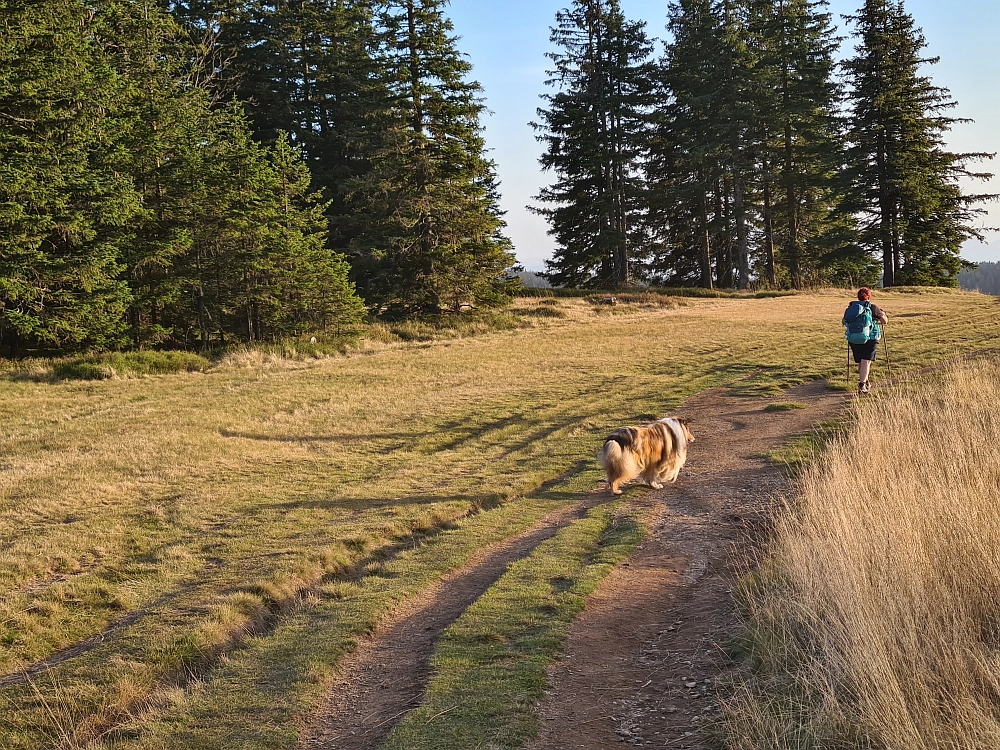 Slika je vidna v Google Chromu.