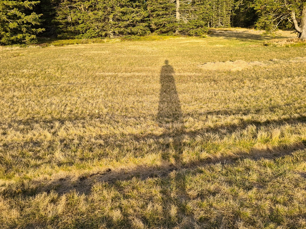 Slika je vidna v Google Chromu.