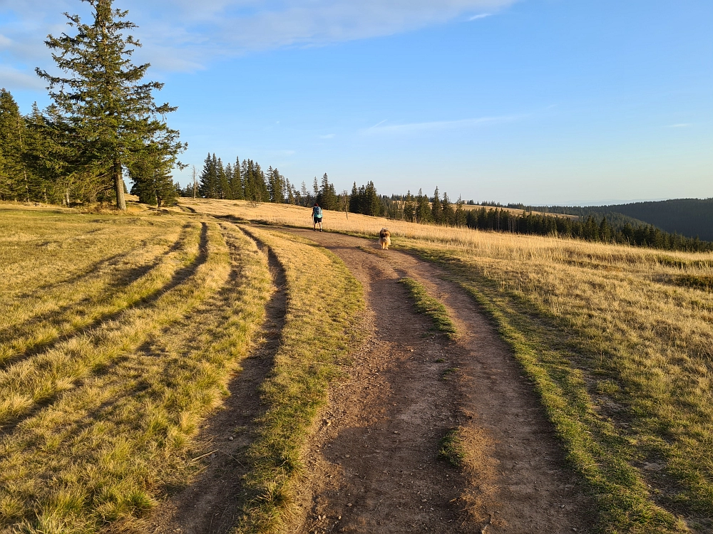 Slika je vidna v Google Chromu.