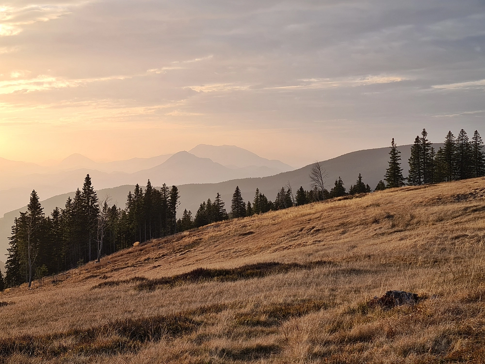 Slika je vidna v Google Chromu.