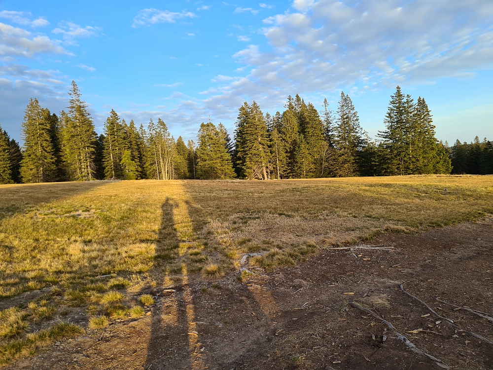 Slika je vidna v Google Chromu.