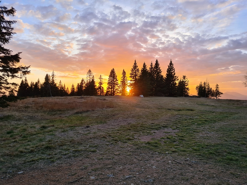 Slika je vidna v Google Chromu.
