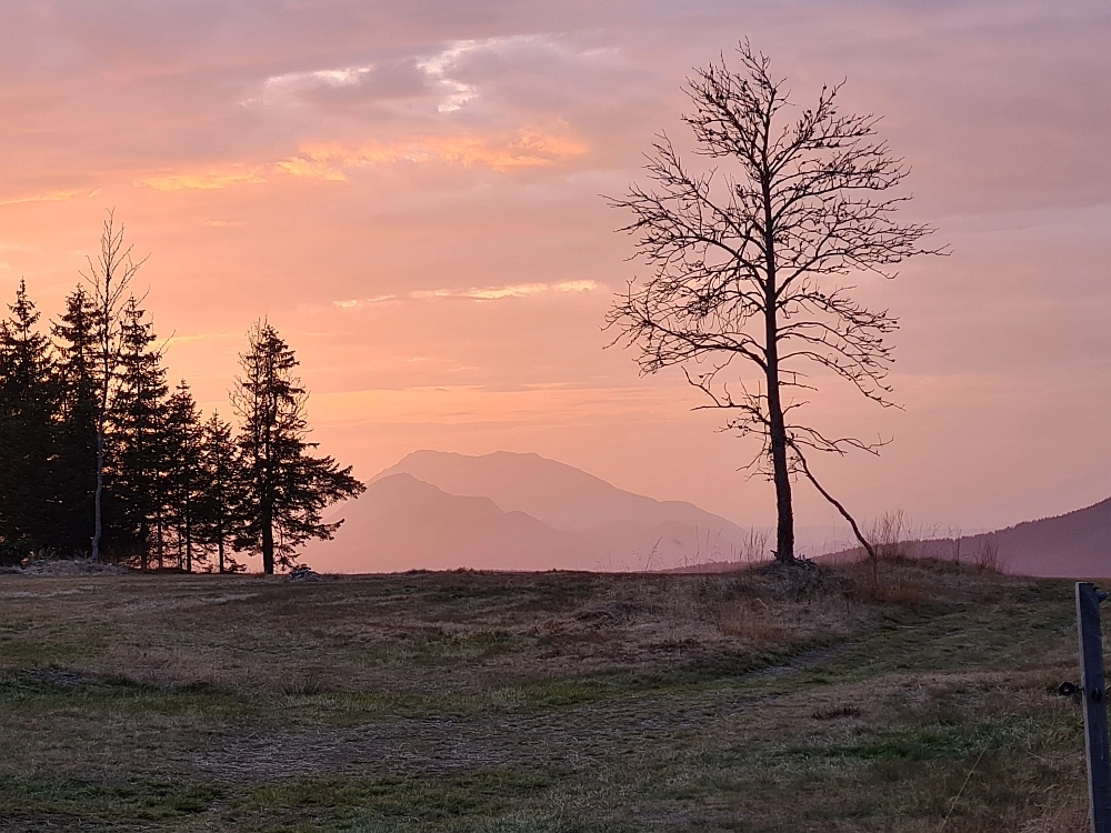 Slika je vidna v Google Chromu.