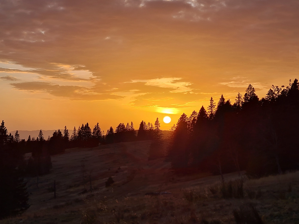 Slika je vidna v Google Chromu.