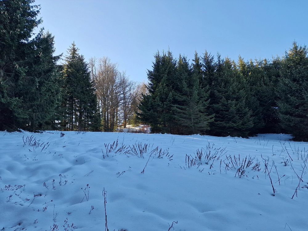 Slika je vidna v Google Chromu.