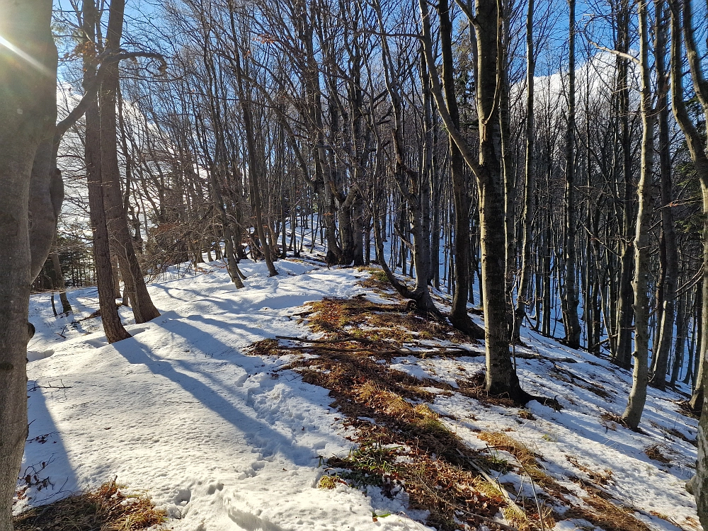 Slika je vidna v Google Chromu.