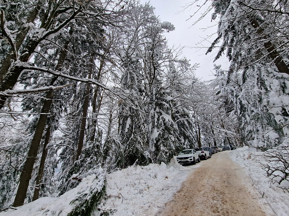 Slika je vidna v Google Chromu.